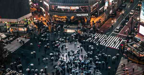 属虎2025年7月16日运势,属虎人2025年7月16日财运,生肖虎2025年7月16日运势